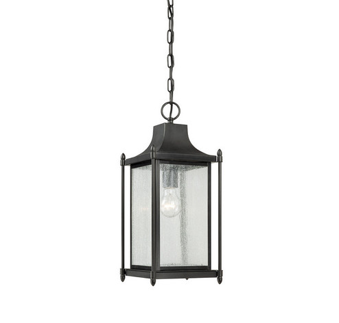 Dunnmore One Light Hanging Lantern in Black (51|5-3455-BK)