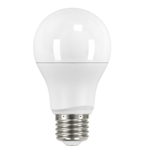 Light Bulb in Frost (230|S9594)