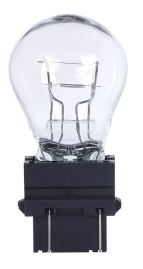 Light Bulb in Clear (230|S7108)
