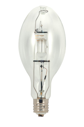 Light Bulb in Clear (230|S5831)