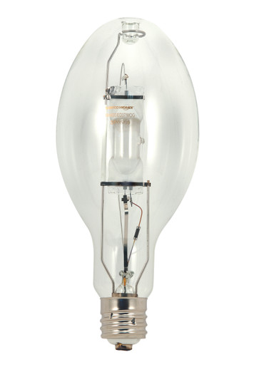 Light Bulb in Clear (230|S5829)