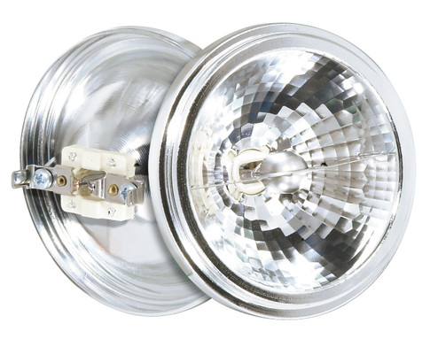 Light Bulb in Clear (230|S4684)