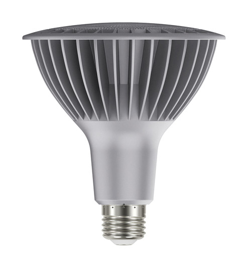 Light Bulb in Silver (230|S29760)