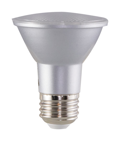 Light Bulb in Clear (230|S29407)