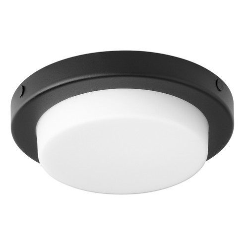 Trio LED Fan Light Kit in Textured Black (19|8-356-69)