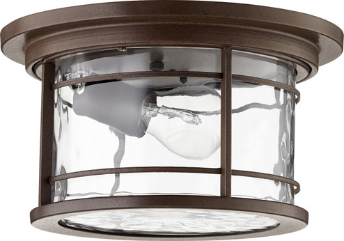 Larson One Light Outdoor Lantern in Oiled Bronze w/ Clear Hammered Glass (19|3916-11186)