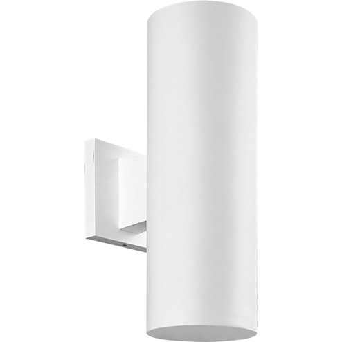 Cylinder Two Light Outdoor Wall Mount in White (54|P5713-30)