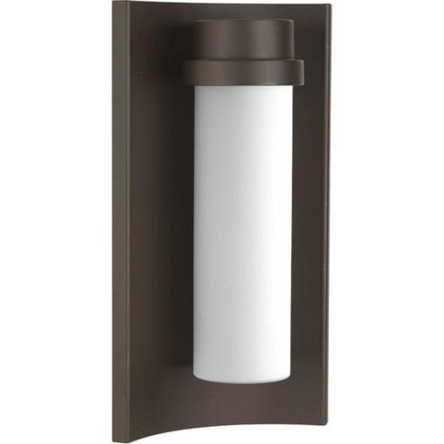 Z-1020 LED LED Wall Lantern in Architectural Bronze (54|P560030-129-30)