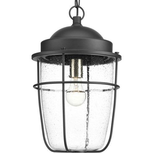 Holcombe One Light Hanging Lantern in Black (54|P550025-031)