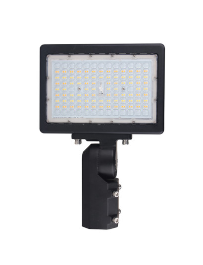 LED Flood Light in Bronze (72|65-619)