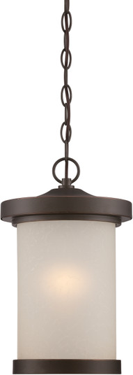 Diego LED Outdoor Hanging Lantern in Mahogany Bronze (72|62-645)