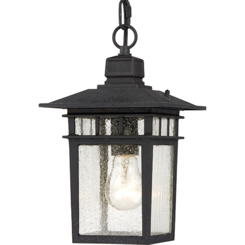 Cove Neck One Light Hanging Lantern in Textured Black (72|60-4956)