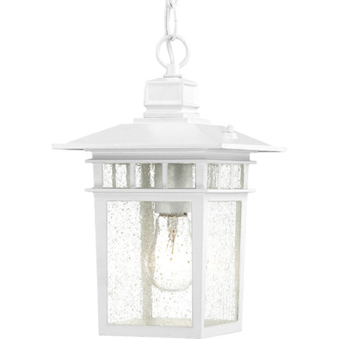 Cove Neck One Light Hanging Lantern in White (72|60-4954)