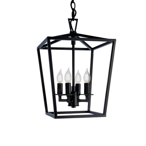 Cage Four Light Pendant in Matte Black (185|1080-MB-NG)