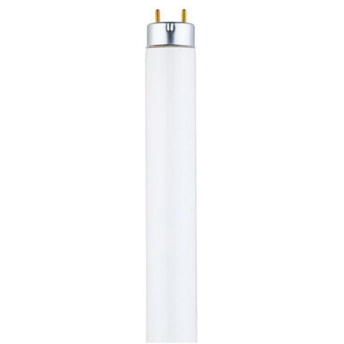 Rec Iolite Adjustable Trim in Champagne Haze Adjustable / Champagne Haze Reflector (167|NIO-4RTLA50XCH/10)