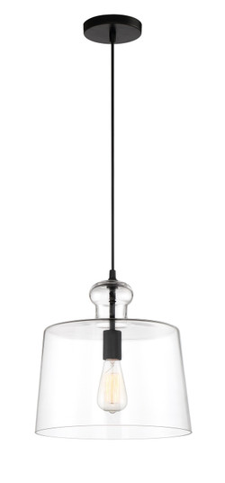 Clarity One Light Pendant in Coal (7|2336-66A)