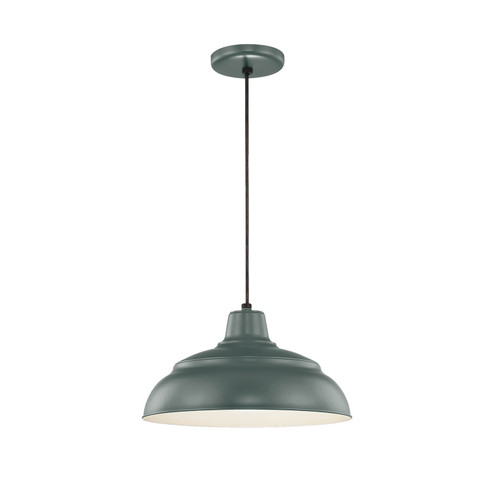 R Series One Light Pendant in Satin Green (59|RWHC14-SG)