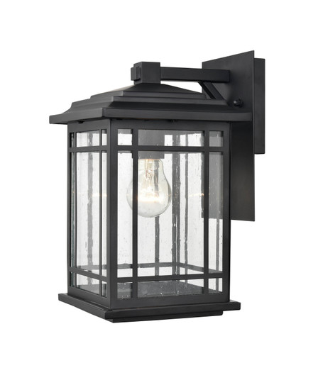 Armington One Light Outdoor Hanging Lantern in Powder Coat Black (59|4151-PBK)