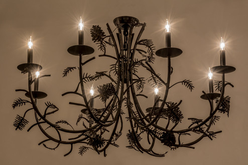 Pinecone Eight Light Chandelier in Black Metal (57|161106)