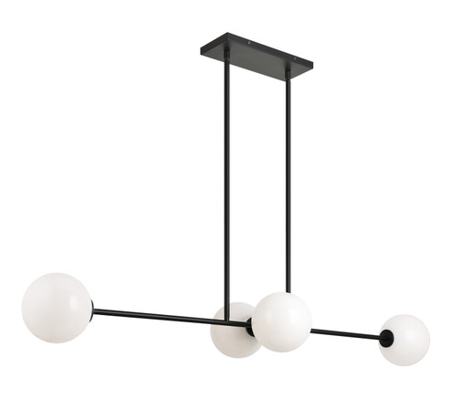 Novo Four Light Chandelier in Black (423|C81704BKOP)