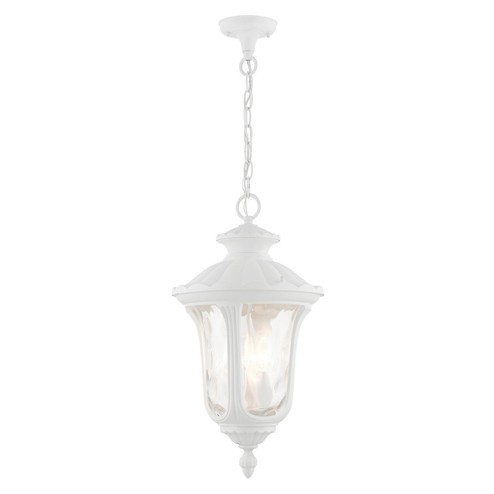 Oxford Three Light Outdoor Pendant in Textured White (107|7858-13)