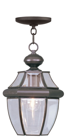 Monterey One Light Outdoor Pendant in Bronze (107|2152-07)