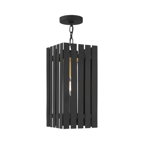 Greenwich One Light Outdoor Pendant in Black w/ Satin Brasss (107|20757-04)