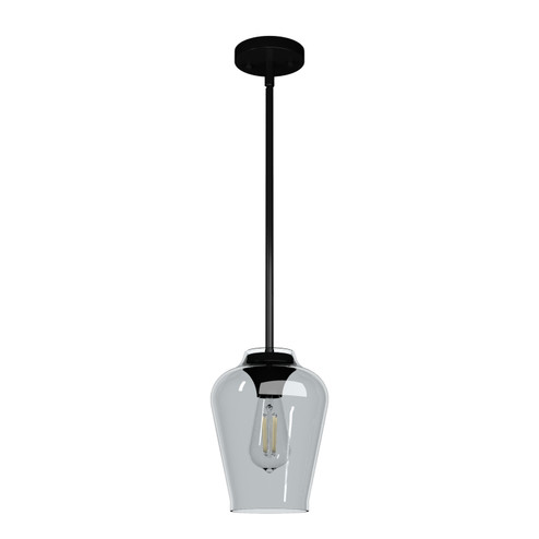 Vidria One Light Mini Pendant in Matte Black (47|19724)