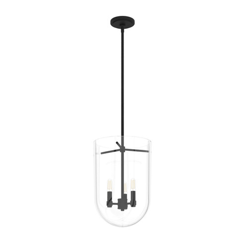 Sacha Three Light Pendant in Natural Black Iron (47|19318)