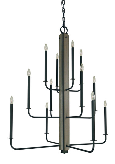 Loft 12 Light Foyer Chandelier in Matte Black (8|5412 MBLACK)