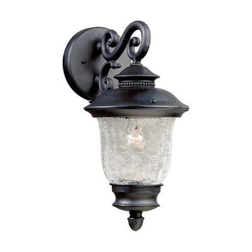 One Light Outdoor Lantern in Black (112|1726-01-04)