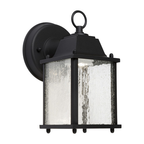 LED Outdoor Light in Black (112|17103-04)