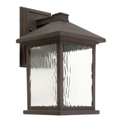 LED Outdoor Light in Antique Bronze (112|17100-32)