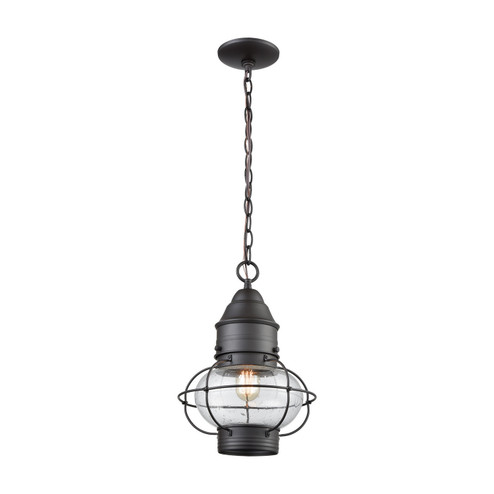 Onion One Light Outdoor Pendant in Oil Rubbed Bronze (45|57183/1)