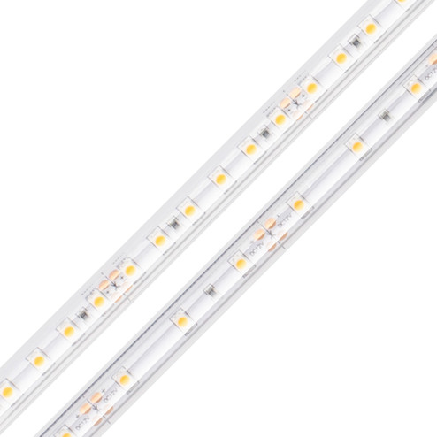 Strip Light (399|DI-24V-BLBSC1-50-W016)