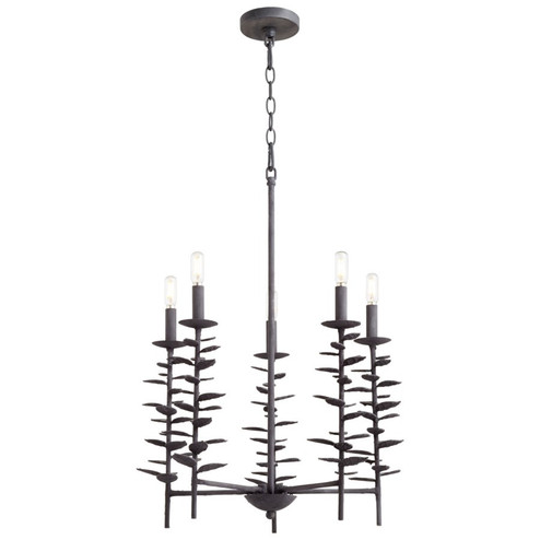 Five Light Chandelier in Noir (208|10974)