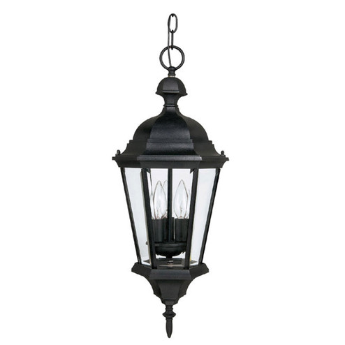 Carriage House Three Light Outdoor Hanging Lantern in Black (65|9724BK)