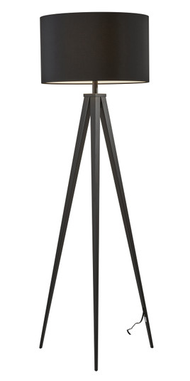 Director Floor Lamp in Black (262|6424-01)