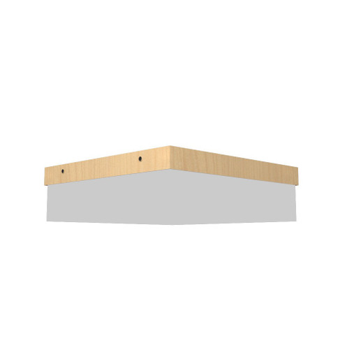 Clean LED Ceiling Mount in Maple (486|566LED.34)