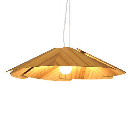 Fuchsia One Light Pendant in Teak (486|1365.12)