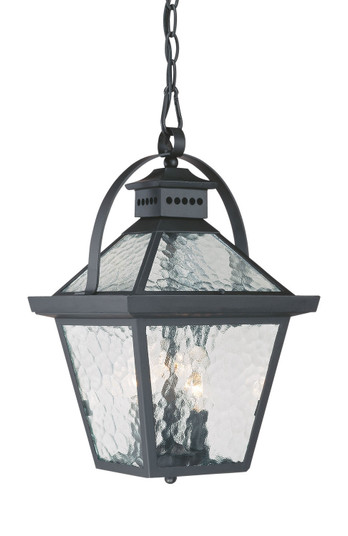 Bay Street Three Light Hanging Lantern in Matte Black (106|7676BK)