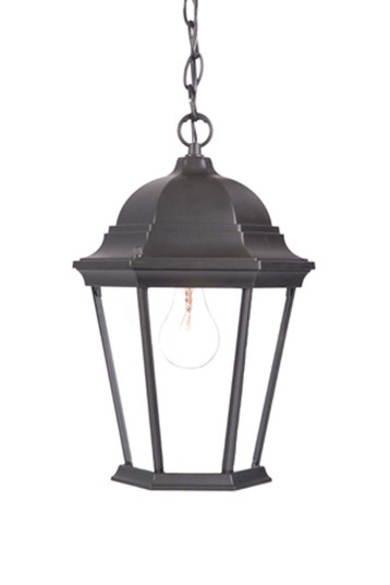 Richmond One Light Hanging Lantern in Matte Black (106|5206BK)