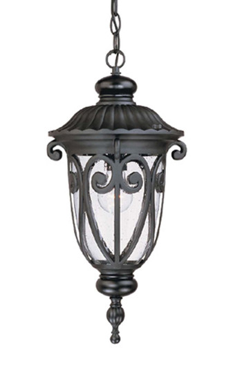 Naples One Light Hanging Lantern in Matte Black (106|2116BK)