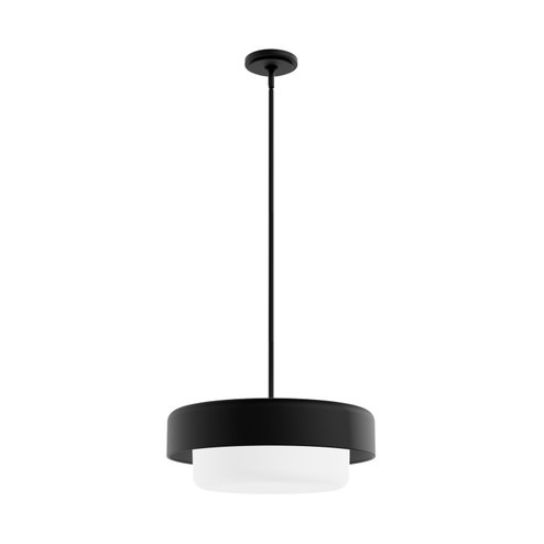 Station Three Light Pendant in Natural Black Iron (47|19273)