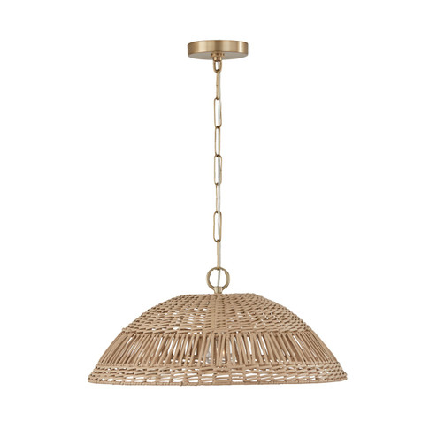 Naomi One Light Pendant in Matte Brass (65|347511MA)