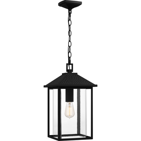 Fletcher One Light Outdoor Hanging Lantern in Earth Black (10|FTC1910EK)