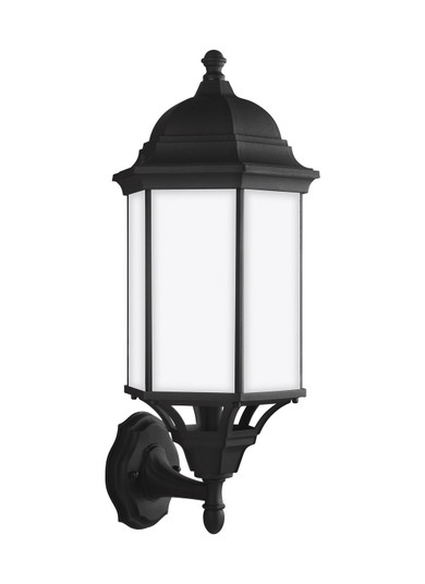 Sevier One Light Outdoor Wall Lantern in Black (1|8638751-12)