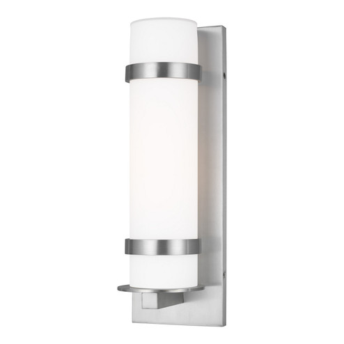 Alban One Light Outdoor Wall Lantern in Satin Aluminum (1|8618301EN3-04)