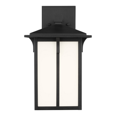 Tomek One Light Outdoor Wall Lantern in Black (1|8552701-12)