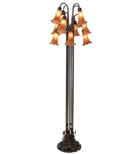 Amber 12 Light Floor Lamp in Mahogany Bronze (57|15874)